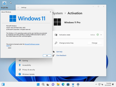 Windows 11 Pro 22H2 Build 22621.382 (No TPM Required) Preactivated Multilingual