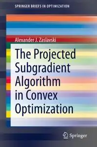 The Projected Subgradient Algorithm in Convex Optimization