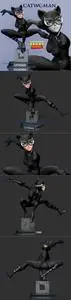 Catwoman stylized