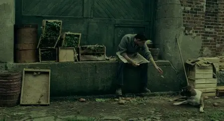 The Words (2012)