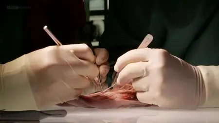 BBC - Dissected (2014)