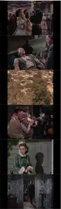 The Man from Colorado (1948)