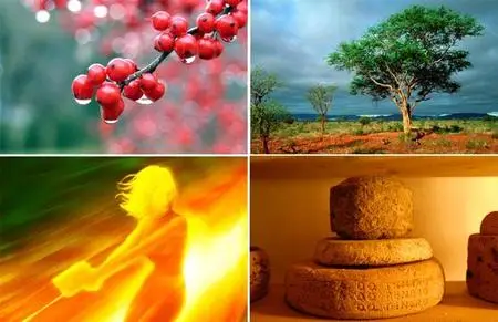 AG Stupendous Photo Collection #15