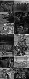 The Flowers of St. Francis (1950) [The Criterion Collection]