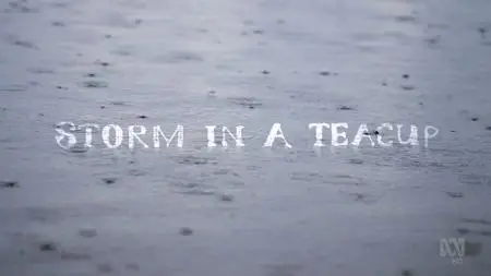 ABC - Storm In A Teacup (2019)