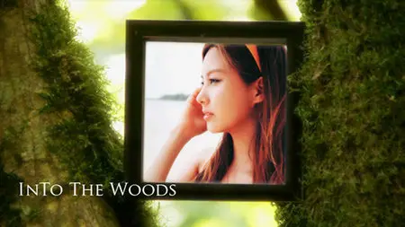 Into The Woods V1.0 - Project for After Effects (VideoHive)