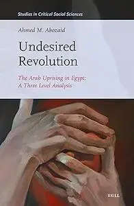 Undesired Revolution: The Arab Uprising in Egypt: a Three Level Analysis