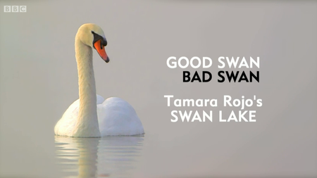 BBC - Good Swan, Bad Swan: Dancing Swan Lake (2014)