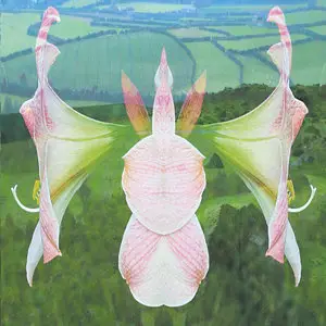 Yunomi - Amaryllis Dream (2014)