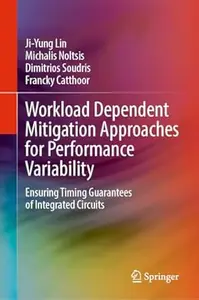 Workload Dependent Mitigation Approaches for Performance Variability