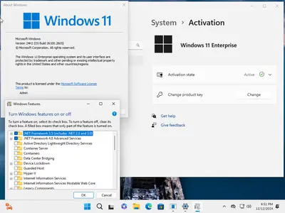 Windows 11 Enterprise 24H2 Build 26100.2605 (No TPM Required) Preactivated Multilingual December 2024