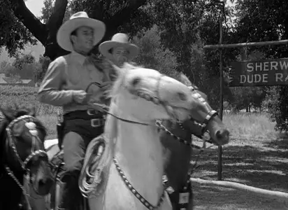 Pals of the Saddle (1938)