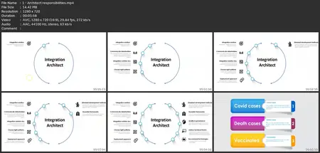 Mulesoft Certified Integration Architect Course - Mcia