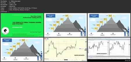 Best Forex Trading Course: Get Dynamic Results And Profits!