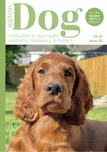 Edition Dog - Issue 80 2025