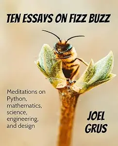 Ten Essays on Fizz Buzz: Meditations on Python, mathematics, science, engineering, and design