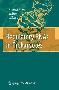 Regulatory RNAs in Prokaryotes