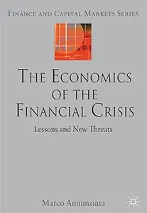 The Economics of the Financial Crisis: Lessons and New Threats