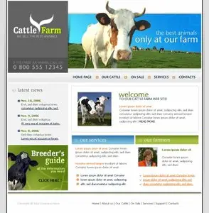 TemplatesBox -  Website Template #PW258