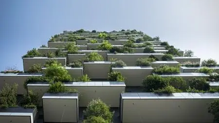 Green Walls And Green Roofs