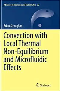 Convection with Local Thermal Non-Equilibrium and Microfluidic Effects