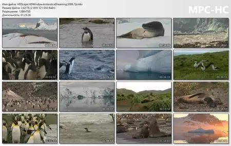 HDScape : Antarctica Dreaming - WildLife On Ice (2006)