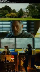 This Must Be The Place (2011)