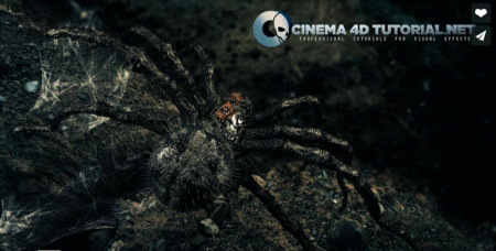 Giant Spider Compositing in cinema 4d