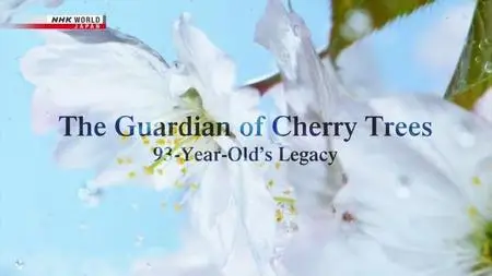 NHK - The Guardian of Cherry Trees (2021)