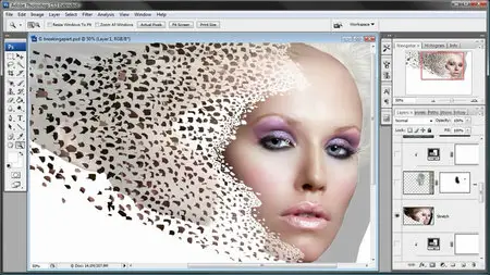 Photoshop Top Secret (4 DVD - Plus Bonus DVD) [repost]