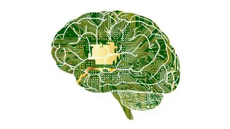 Data Science: Build, Train & Test A Machine Learning Model