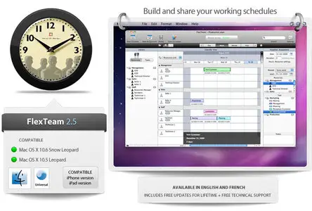 FlexTeam 2.5 