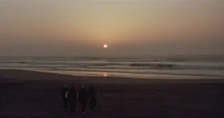 Sayonara Color (2005)