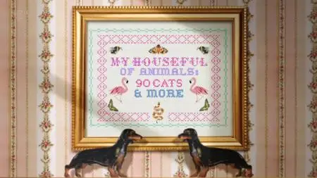 Ch5. - My Houseful of Animals: 90 Cats And More (2019)
