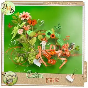 Floral scrapbook kit - Color peps