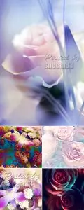 Stock Photo - Abstract Flowers Backgrounds