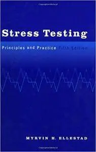 Stress Testing: Principles and Practice