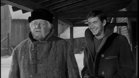 Desire Under the Elms (1957)