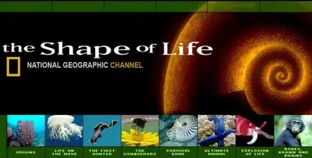 National Geographic - The Shape of Life: Complete Journey (2001)