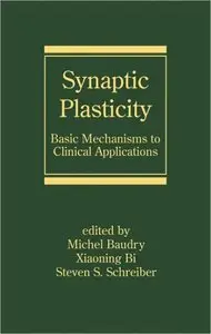 Synaptic Plasticity: Basic Mechanisms to Clinical Applications (Neurological Disease and Therapy) (repost)