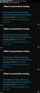 Pentester Certification Course:Lite Edition