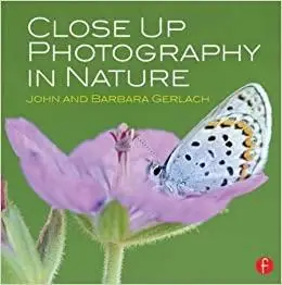 Close Up Photography in Nature