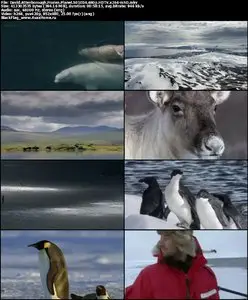 David Attenborough Frozen Planet S01E04