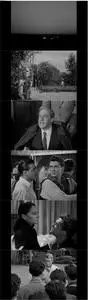 Orpheus (1950) [The Criterion Collection]