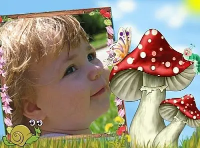 Photoframe-the mushrooms