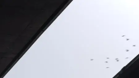 Between S01E07