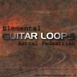 Homegrown Sounds Elemental Guitar Loops MULTiFORMAT