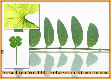 DataCraft Sozaijiten Vol 148 - Foliage and Green Leaves