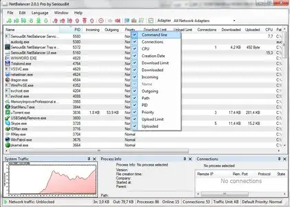 NetBalancer v2.0.1 Pro