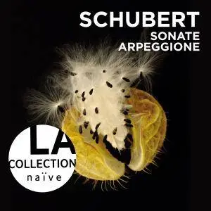 Anne Gastinel & Claire Désert - Schubert: Sonate Arpeggione (2013) [Official Digital Download]